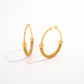 GoldFusion Hoops
