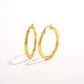 RadiantLink Earrings