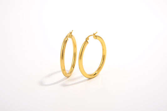 RadiantLink Earrings