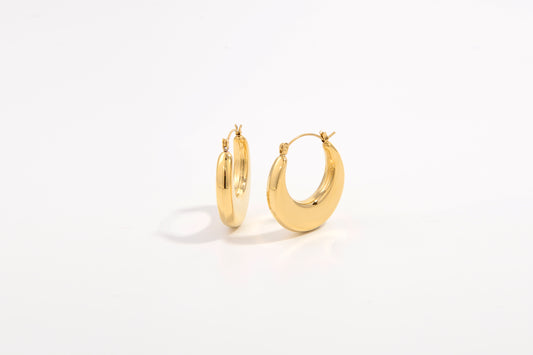 EliteShine Earrings