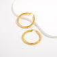 RadiantLink Earrings