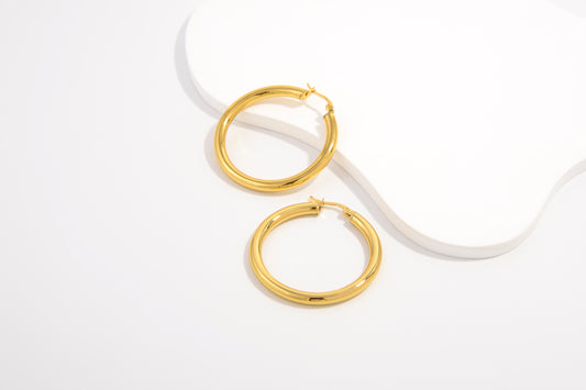 RadiantLink Earrings