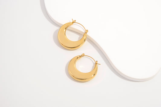 EliteShine Earrings