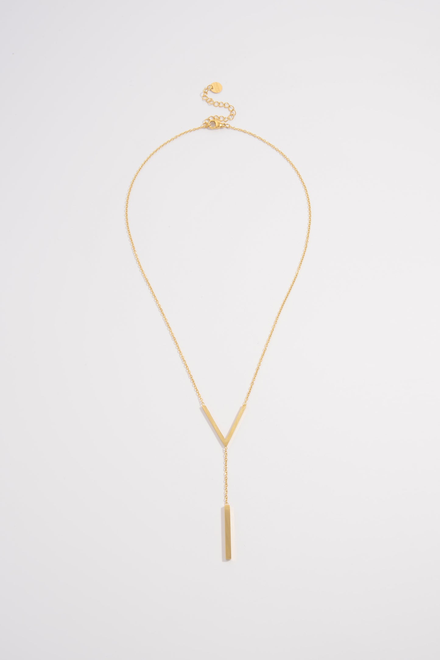 Elegance in Motion V-Shaped Necklace